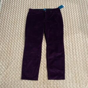 New Jag Jeans Women 20W/32 Ruby Straight jeans in color Sangria $78 orig price